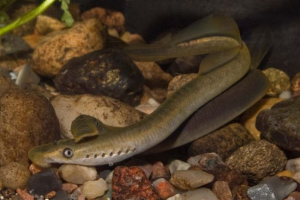 U predgrađu su ponovno pronašli sredinu U predgrađu su ponovno pronašli sredinu